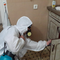 Дезинфекция от муравьев в квартире Бульвар Адмирала Ушакова метро Москвы