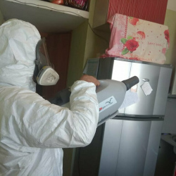 Уничтожение насекомых в квартире. Бульвар Адмирала Ушакова